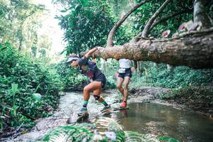 BIB: 
                            <button type="button" onclick="openModal(25433520)" class="btn btn-primary btn-sm float-right btn-popup" data-toggle="modal" data-target=".modal-high-quality">
                        <i class="fas fa-shopping-cart"></i> Add to Cart
                    </button>
                                            <button type="button" onclick="isThisMe(25433520, true)" class="btn btn-success btn-sm float-right btn-popup btn-isme hidden" data-toggle="tooltip" data-placement="bottom" title="นี่คือรูปของคุณใช่ไหม คลิกที่นี่เพื่อเอาเข้าอัลบั้ม">
                        <i class="fas fa-plus"></i> Add to album
                    </button>
                    <button type="button" onclick="isThisMe(25433520, false)" class="btn btn-warning btn-sm float-right btn-popup btn-isnotme hidden">
                        <i class="fas fa-ban"></i> Remove from album
                    </button>